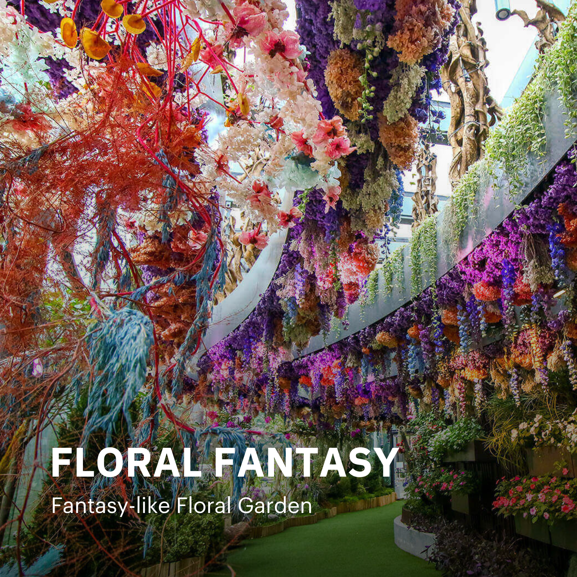 Floral Fantasy Singapore